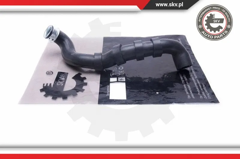 Radiator Hose (43SKV895)