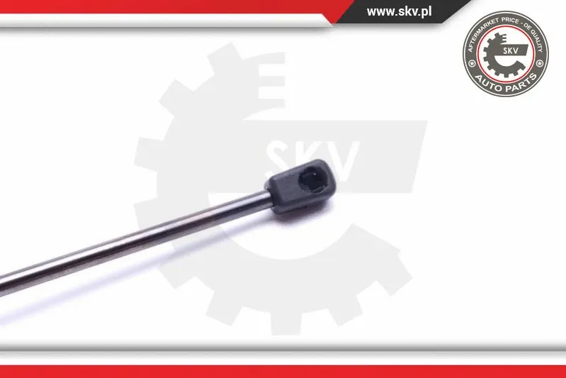 Gas Spring, boot/cargo area