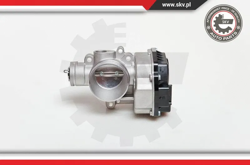Throttle Body (12SKV031)