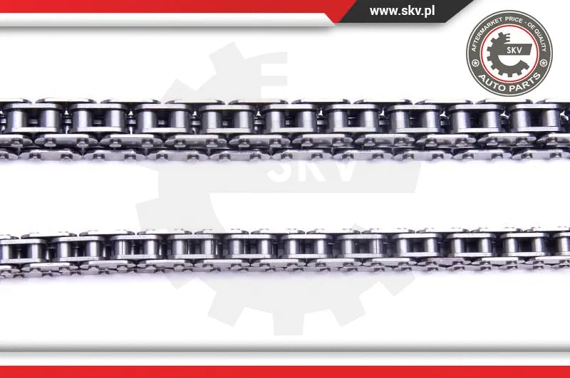 Timing Chain Kit