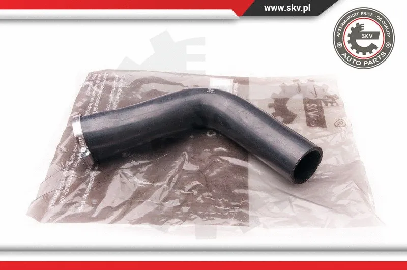 Charge Air Hose (24SKV172)