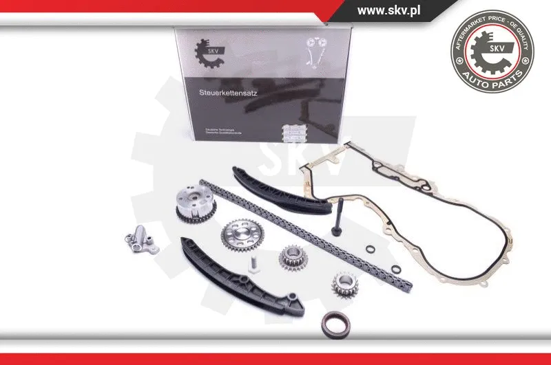 Timing Chain Kit (21SKV235)
