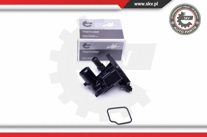 Thermostat, coolant (20SKV087)