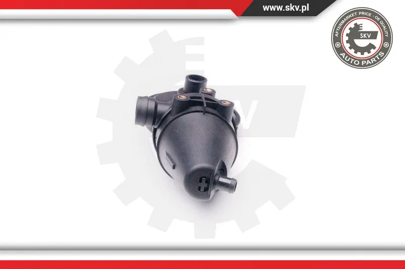 Repair Kit, crankcase ventilation (31SKV039)