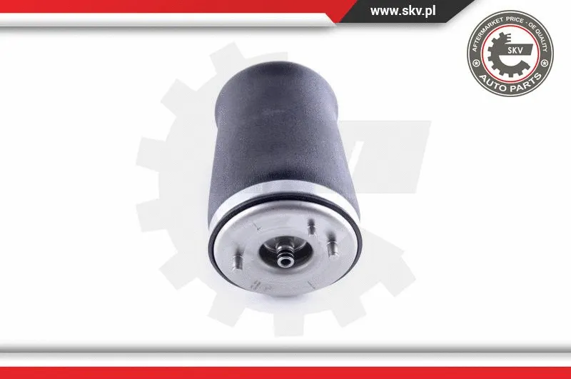 Air Spring, suspension