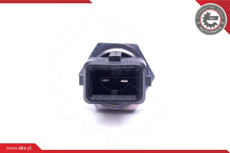 Sensor, intake air temperature
