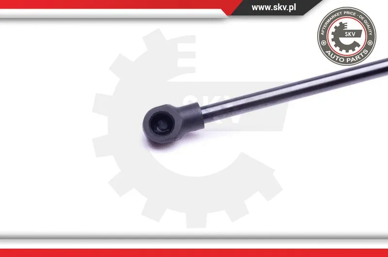 Gas Spring, boot/cargo area