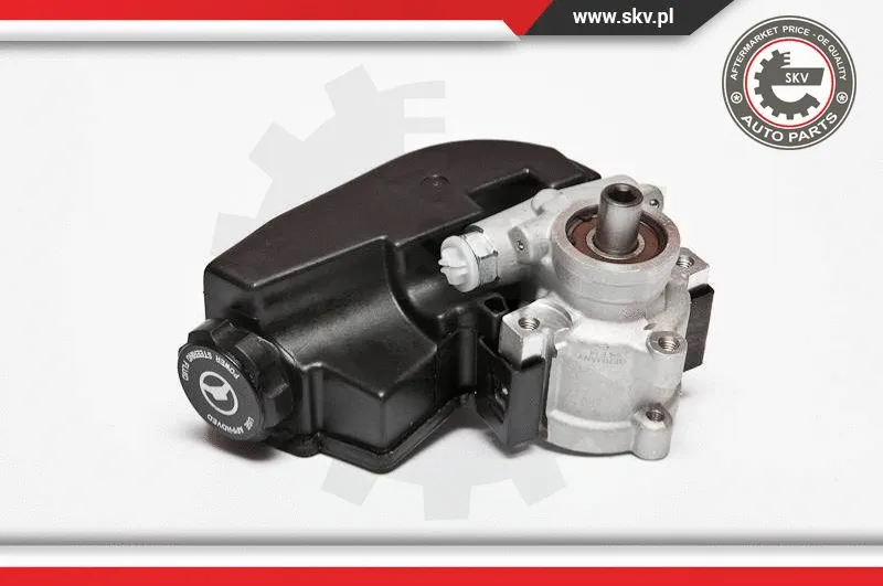 Hydraulic Pump, steering (10SKV090)