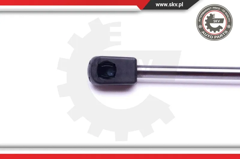 Gas Spring, boot/cargo area