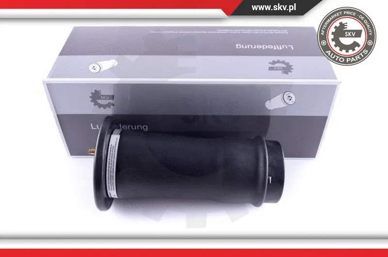 Air Spring, suspension (58SKV039)