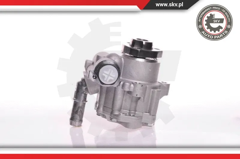Hydraulic Pump, steering (10SKV166)