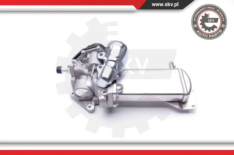 EGR Valve