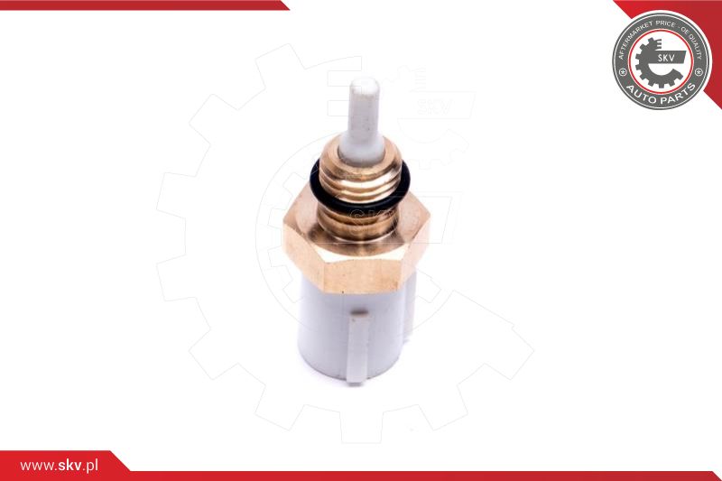 Sensor, intake air temperature