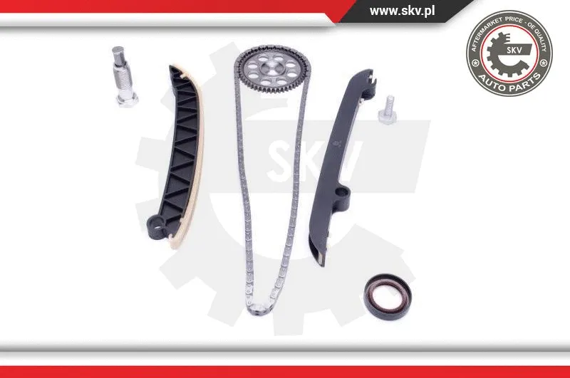 Timing Chain Kit