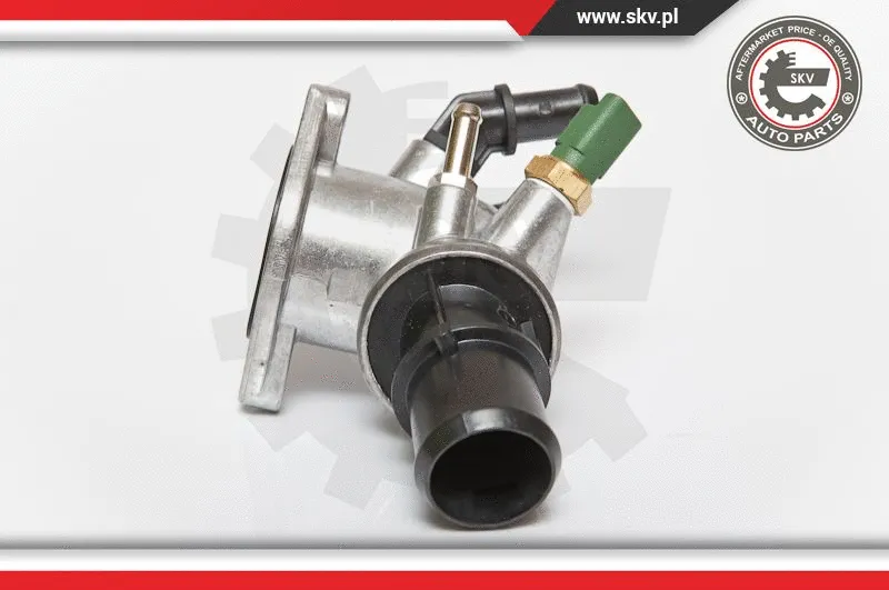 Thermostat, coolant