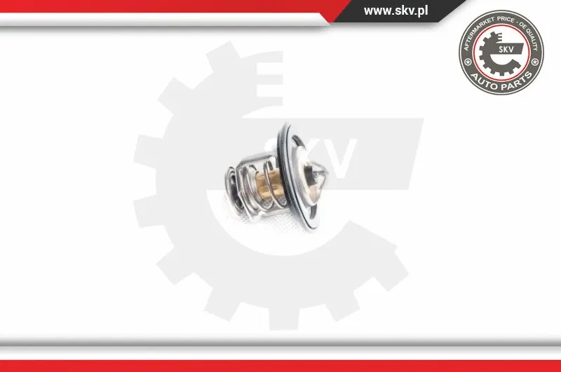 Thermostat, coolant