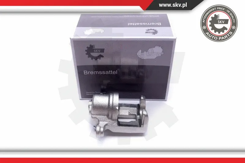 Brake Caliper (23SKV704)