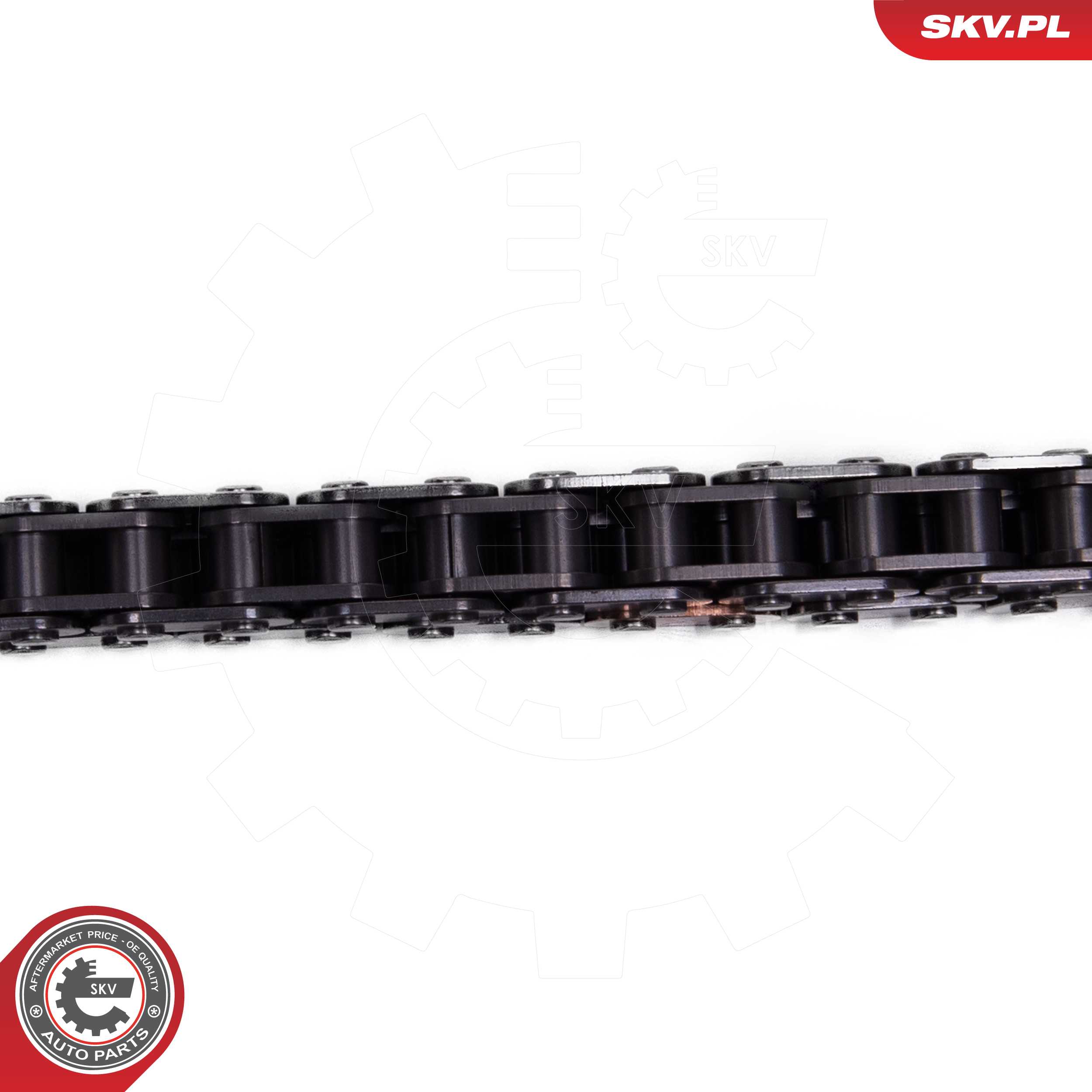 Timing Chain Kit