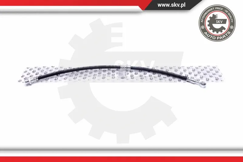 Brake Hose (35SKV189)