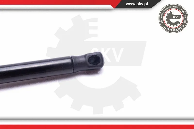 Gas Spring, boot/cargo area