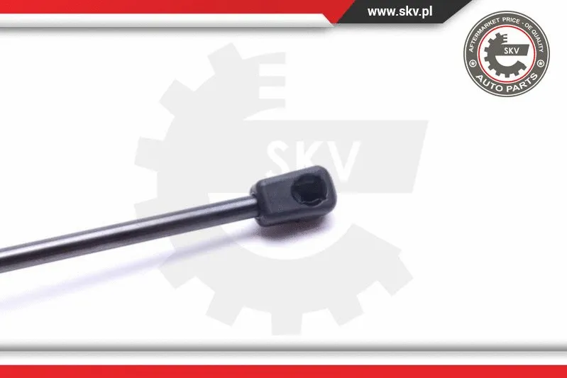 Gas Spring, boot/cargo area