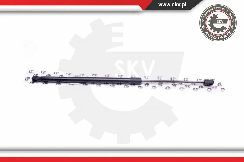 Gas Spring, boot/cargo area