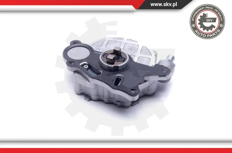 Vacuum Pump, braking system