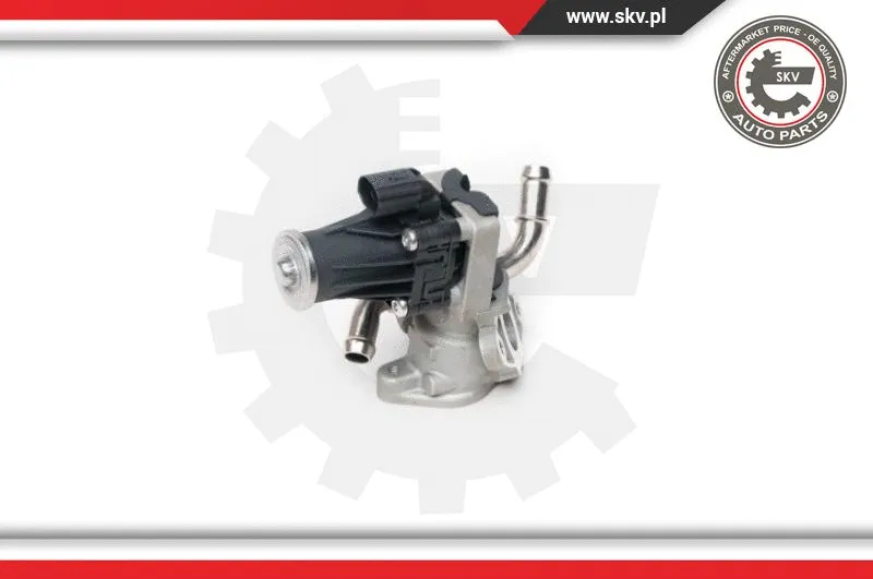 EGR Valve