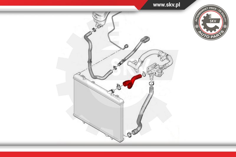 Radiator Hose