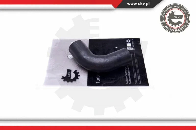 Radiator Hose (43SKV873)