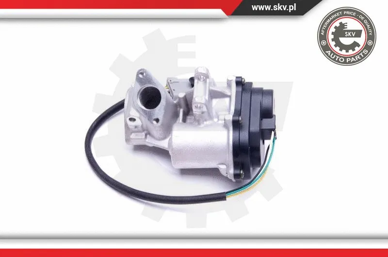 EGR Valve