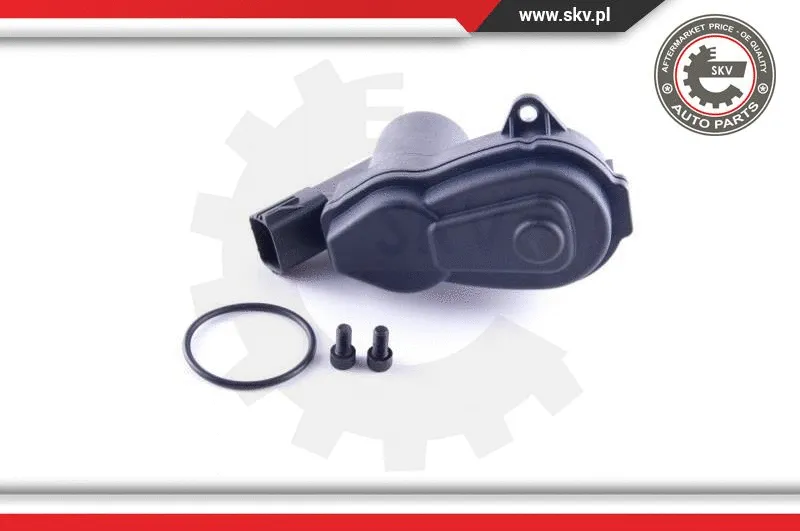Control Element, parking brake caliper
