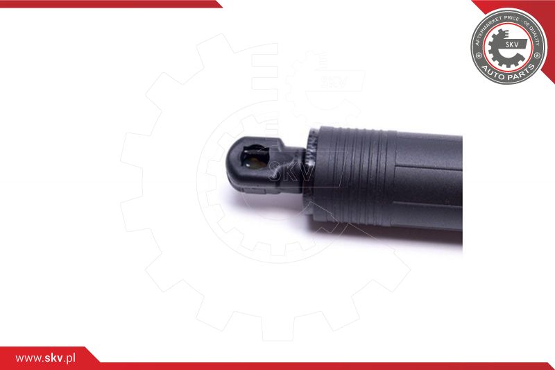 Electric Motor, tailgate