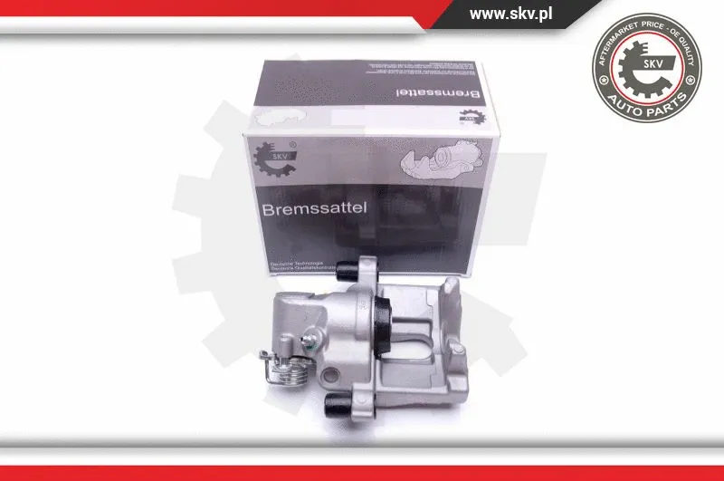 Brake Caliper (42SKV544)