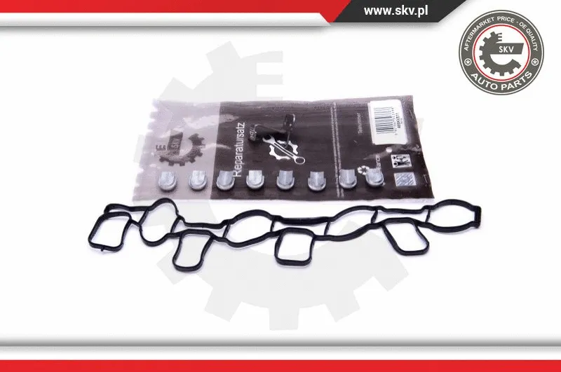 Repair Kit, intake manifold module (49SKV511)