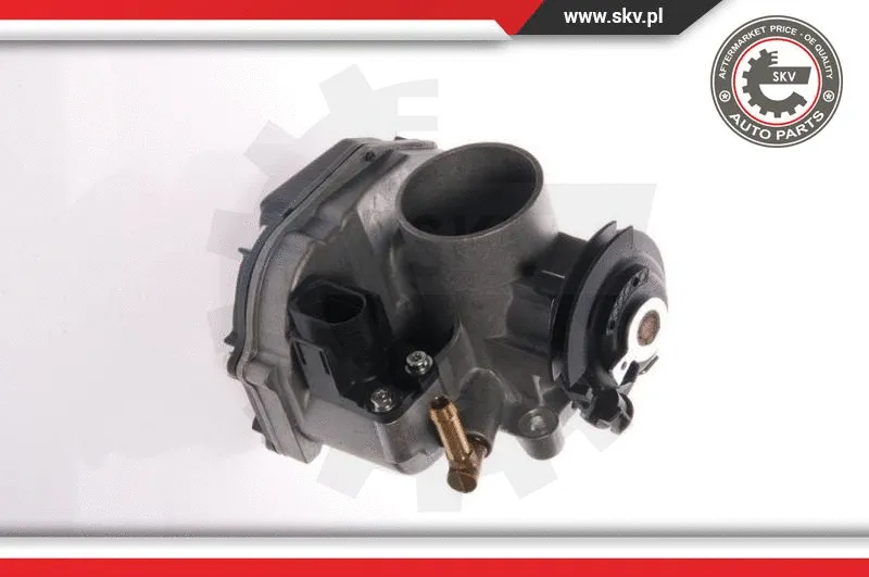 Throttle Body (12SKV015)