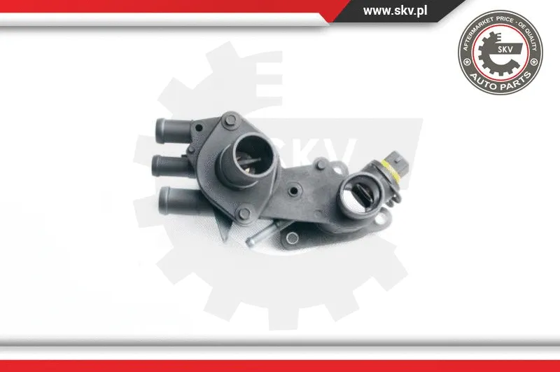 Thermostat, coolant