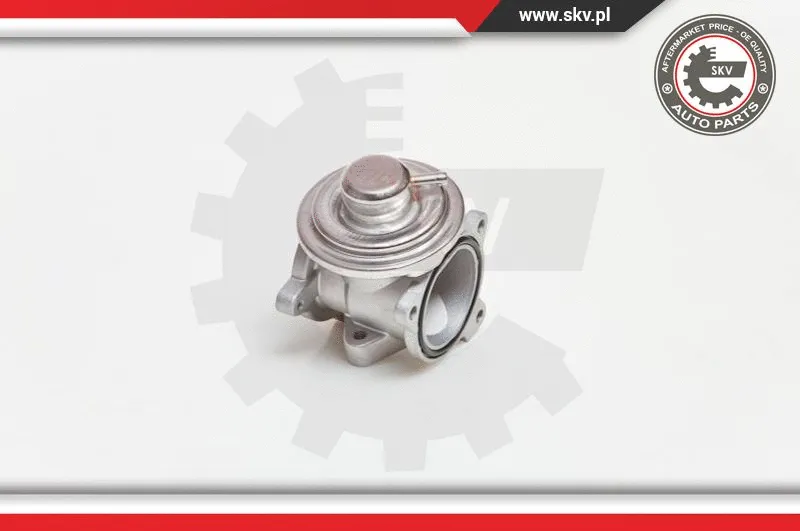 EGR Valve (14SKV034)