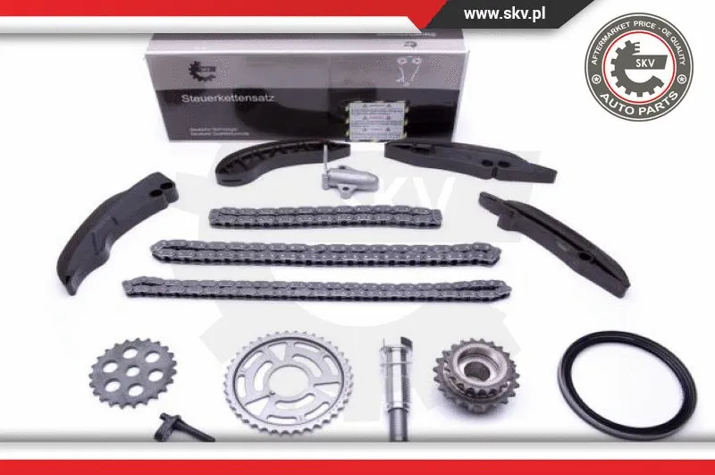 Timing Chain Kit (21SKV196)