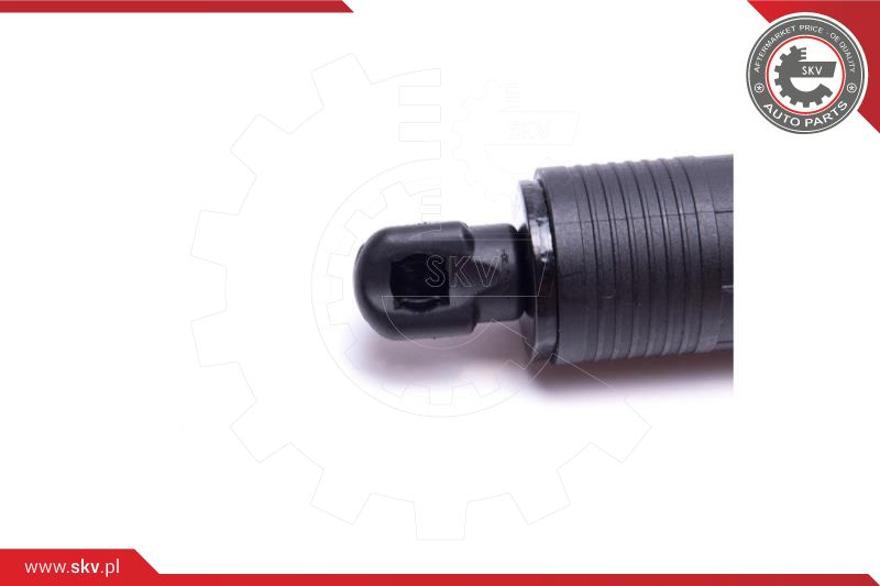 Electric Motor, tailgate