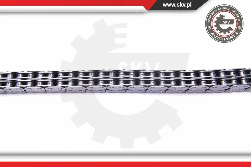 Timing Chain Kit