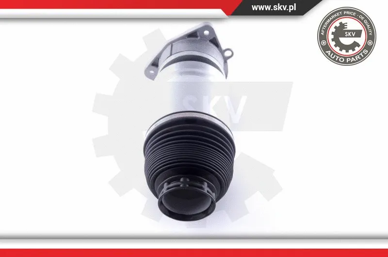 Air Spring, suspension