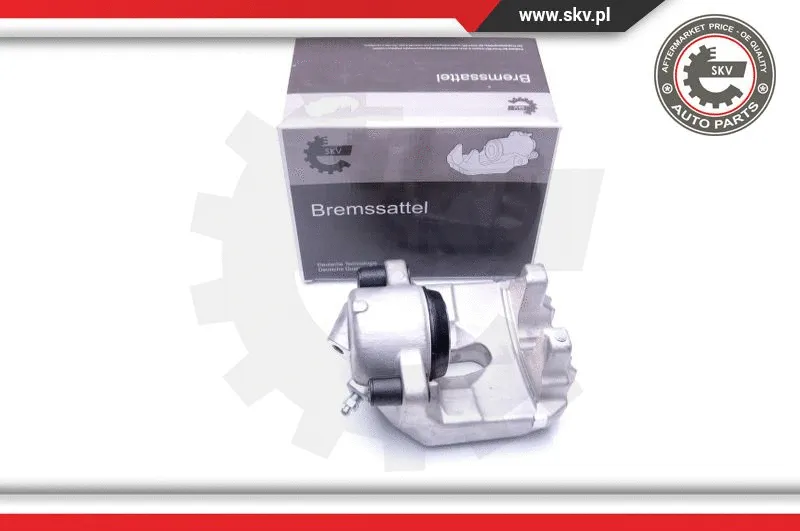 Brake Caliper (44SKV832)