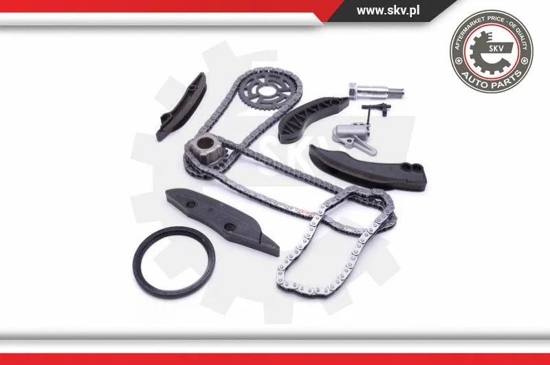 Timing Chain Kit