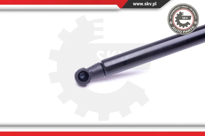Gas Spring, boot/cargo area