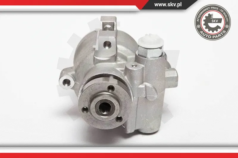 Hydraulic Pump, steering (10SKV089)
