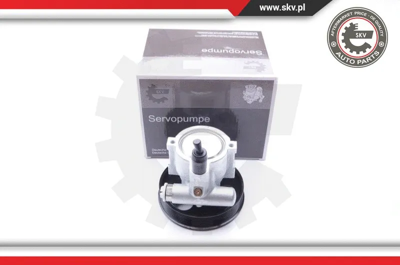 Hydraulic Pump, steering (10SKV232)