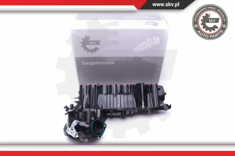 Intake Manifold Module (49SKV020)