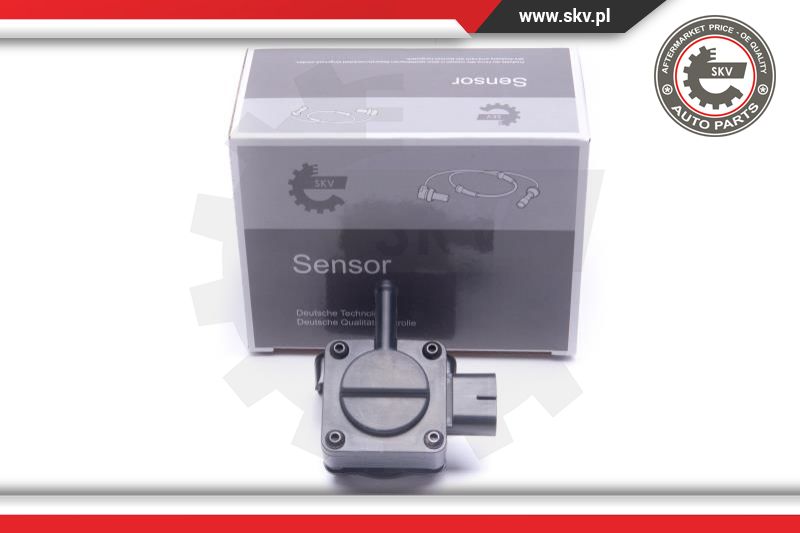 Sensor, exhaust pressure (17SKV666)
