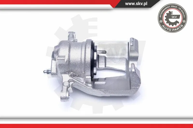 Brake Caliper (42SKV231)
